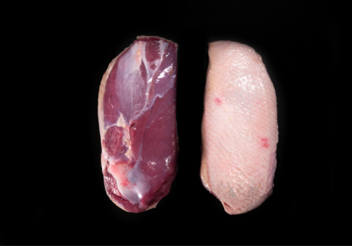 Eendenfilet canette